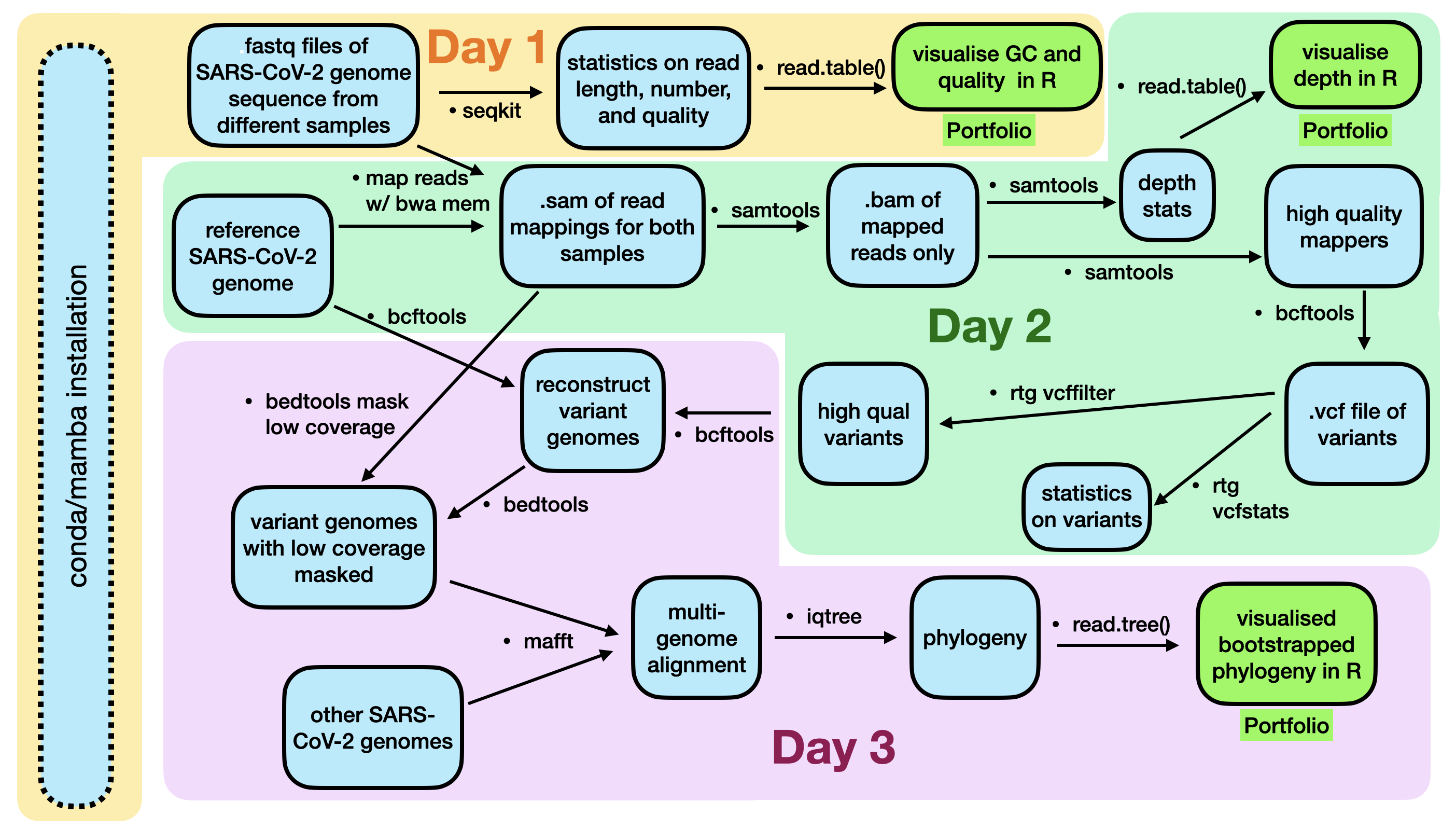Visual Genome Flowchart Genome Science 203.311 (2026) | A repository for the course 203311 ...